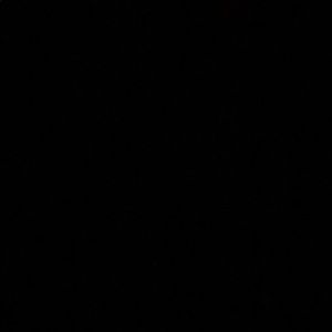 Meet your Posher, Carly